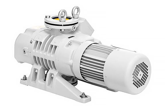 Вакуумный насос Рутса &ndash; механизм